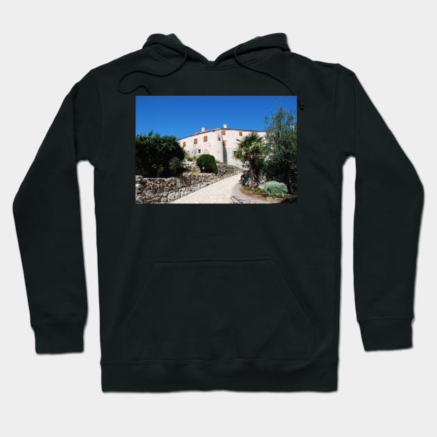 Bakar Castle Hoodie by jojobob